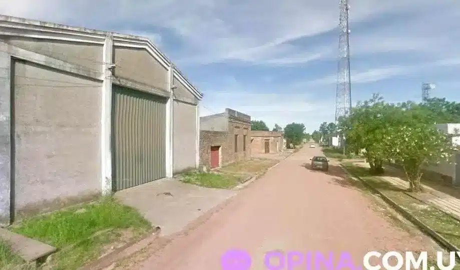 barraca bemy