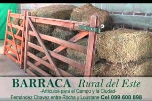 Barraca Rural del Este