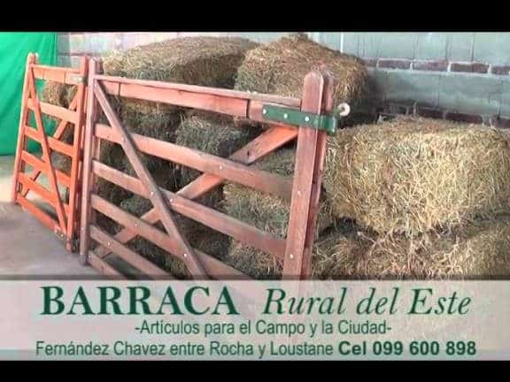 barraca rural del este