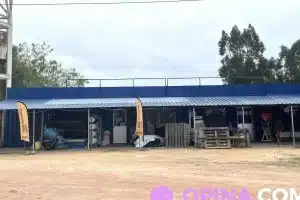 Barraca y Ferretería Fechorías 6 Barraca y Ferretería Fechorías