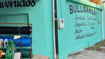 bulligangas 1