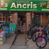 ESTILO ANCRIS