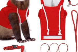 FERRETROPAS