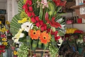 Florería Los cuatro cuatros dolores