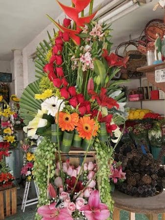 floreria los cuatro cuatros dolores 1