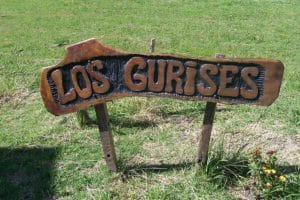 Los gurises