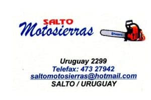Salto Motosierra